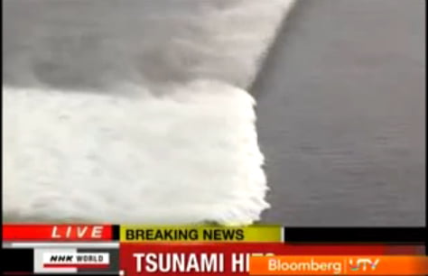 Tsunami gigantic loveste Japonia