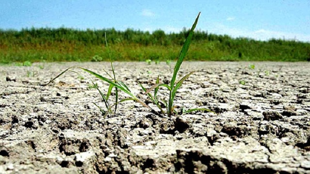 CE: Jumătate din Europa este afectată de secetă. Ar putea fi necesare măsuri de gestionare a apei și energiei
