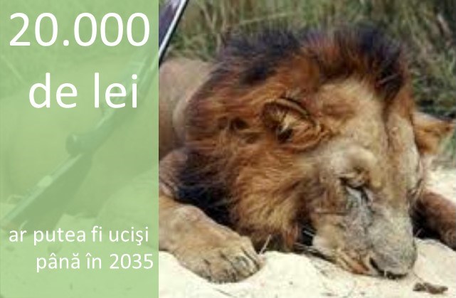 20.000 de de lei africani ar putea fi uciși până în 2035