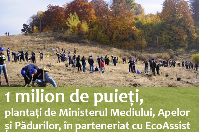 1 milion de puieți, plantați de Ministerul Mediului, Apelor și Pădurilor, în parteneriat cu Asociația EcoAssist