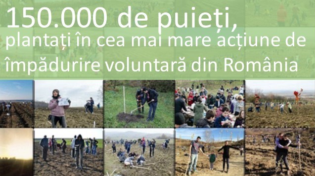 150.000 de puieți, plantați în cea mai mare acțiune de împădurire voluntară din România
