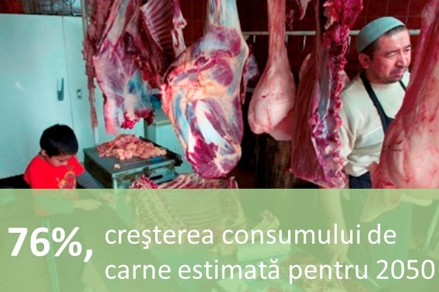 76%, creșterea consumului de carne estimată pentru 2050