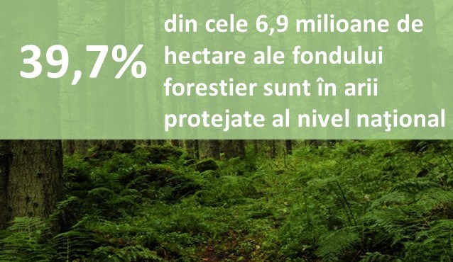39,7% din cele 6,9 milioane de hectare ale fondului forestier sunt în arii protejate al nivel național