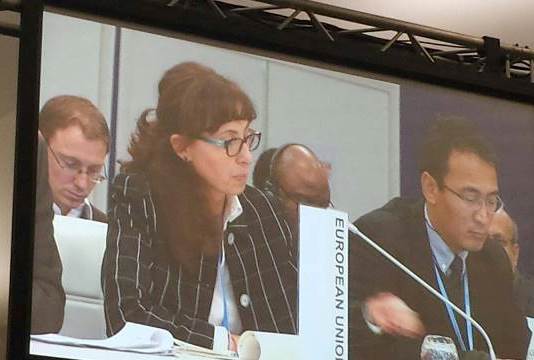 Cristiana Pașca Palmer, la dezbaterile COP21