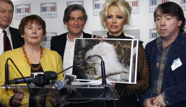 VIDEO Pamela Anderson luptă pentru interzicerea producției de foie gras în Franța