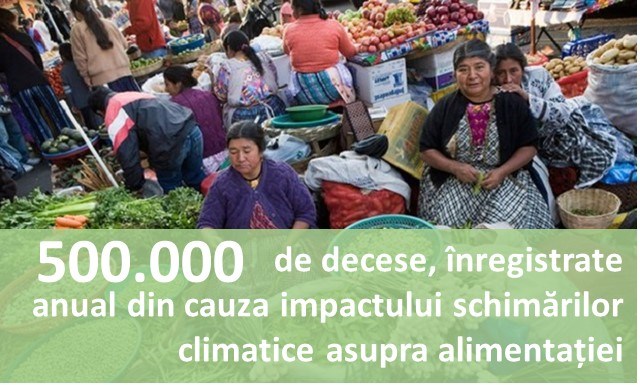 500.000 de decese, înregistrate anual din cauza impactului schimărilor climatice asupra alimentației