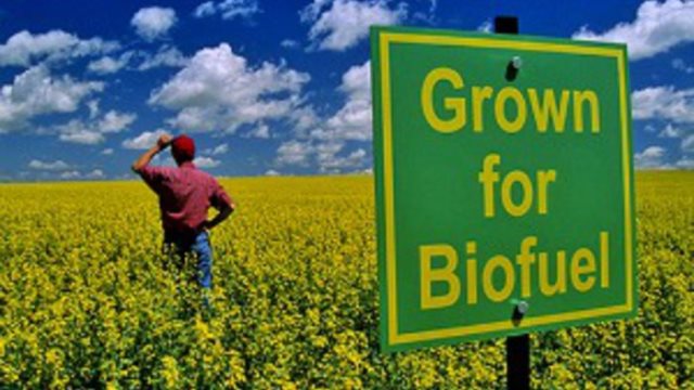 Cererea UE de biocombustibili tradiționali se va reduce la jumătate