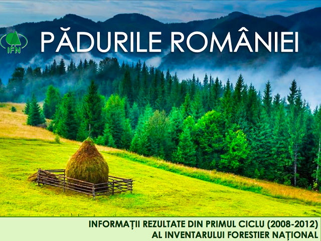 Câte hectare de padure mai are România