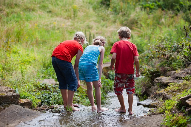 Activități în natură prin care copiii învață să respecte mediul