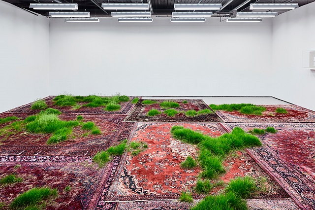 FOTO Alt fel de artă: iarbă plantată în covoare persane