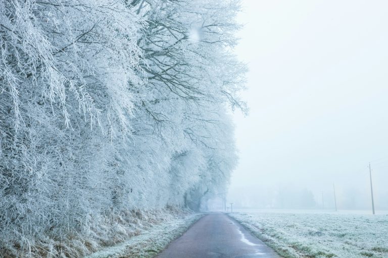 Foto: Olivier Bergeron / Unsplash