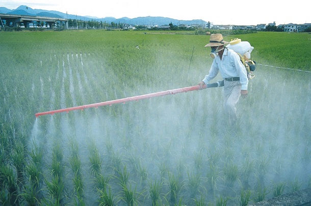 pesticidele