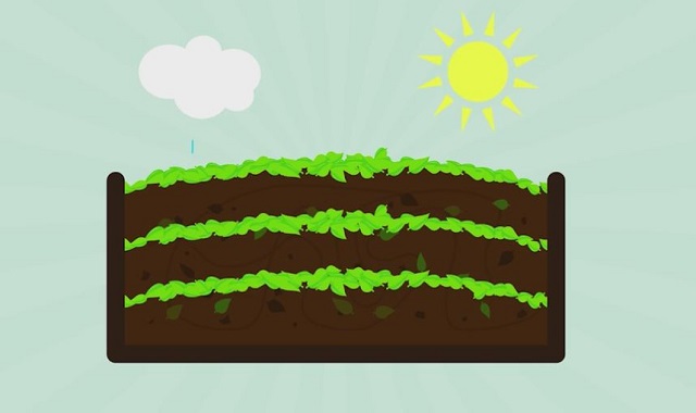 VIDEO Primii pași pentru a face compost din resturile alimentare