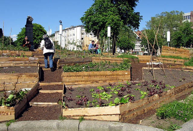 grădina urbană