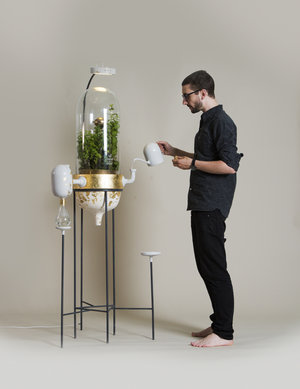 Drop by Drop, sistem de filtrare a apei cu ajutorul plantelor