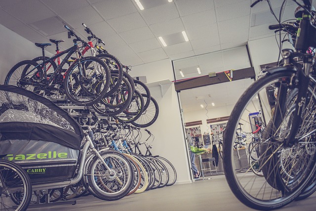 Primăria Capitalei vrea suplimentarea numărului de vouchere pentru biciclete