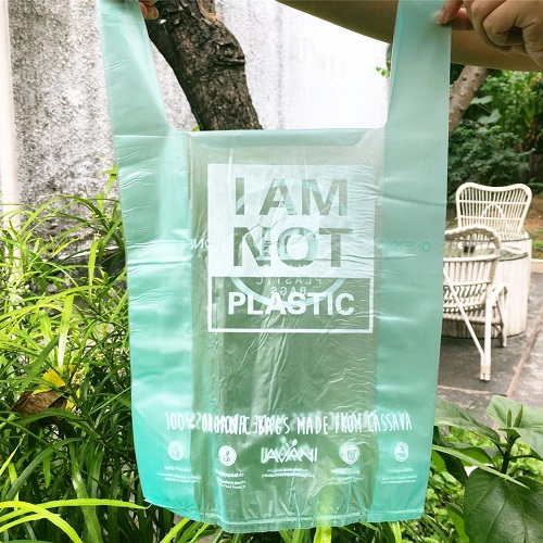 Lupta față de invazia plasticului: punga biodegradabilă care se dizolvă în apă