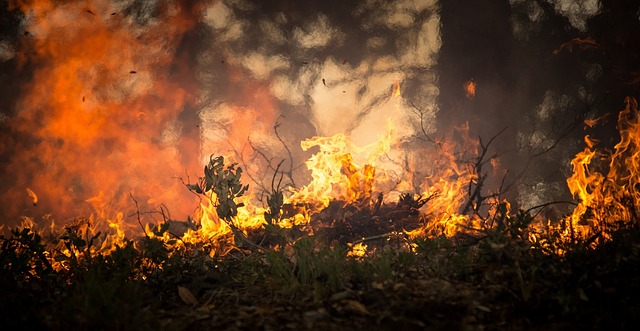 200 de incendii în pădurile Romsilva