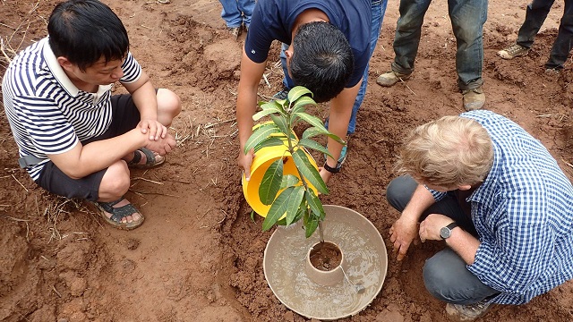Cocoon, incubatorul care ajută copacii să supraviețuiască și în cele mai aride zone