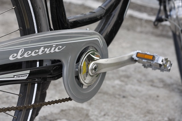 Biciclete electrice achiziționate prin programul Rabla