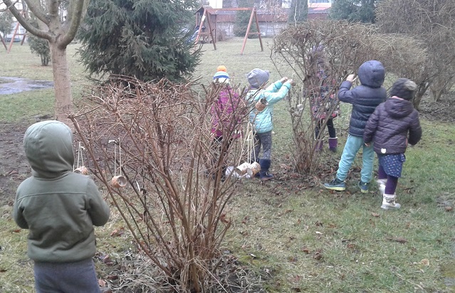 Societatea Ornitologică Română învață copiii cum să aibă grijă de păsări și insecte