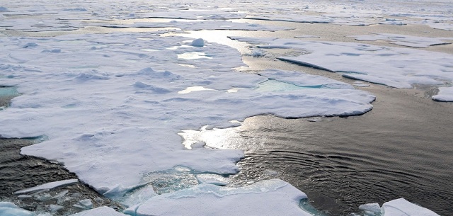 Regiunea arctică schimbări climatice