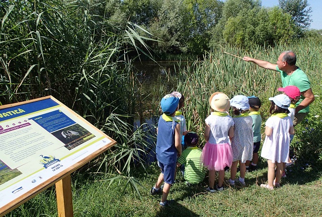 Parcul Natural Văcărești, educație ecologică în primul parc natural urban din România