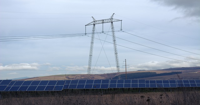 Primul parc fotovoltaic din România auditat din punct de vedere al conservării naturii
