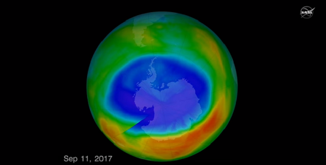 gaura strat ozon