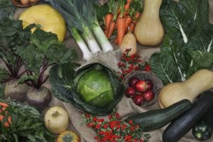Agroecologia poate ajuta la îmbunătățirea producției de alimente