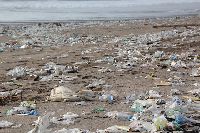 Pact istoric: marile companii vor lua măsuri pentru reducerea poluării cu plastic în Marea Britanie