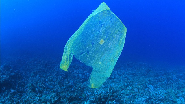 O pungă de plastic a fost găsită în Groapa Marianelor, la peste 10.000 metri adâncime