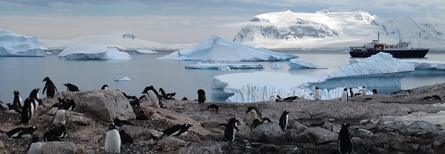 Greenpeace a găsit microplastice și substanțe chimice toxice în Antarctica