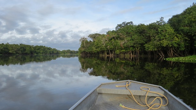 Studiu: frecvența inundațiilor din Amazon este de 5 ori mai mare din cauza încălzirii oceanului Atlantic