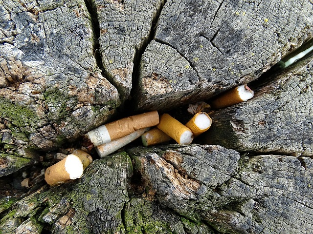 Filtrele de țigări sunt o amenințare mai mare pentru oceane față de paiele de plastic