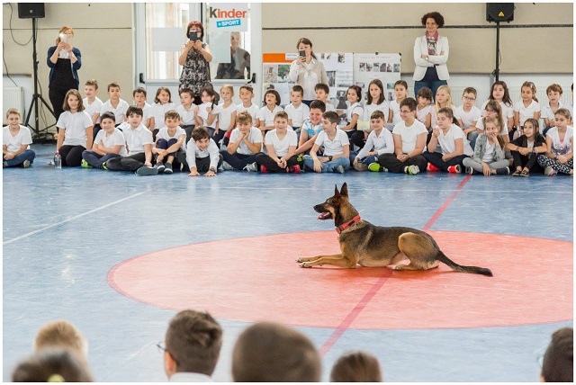 220 de școli din România sărbătoresc Ziua Internațională a Animalelor