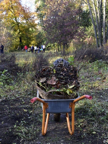 Asociația Team Work caută voluntari pentru „Curățenia de Toamnă în Grădina Botanică”