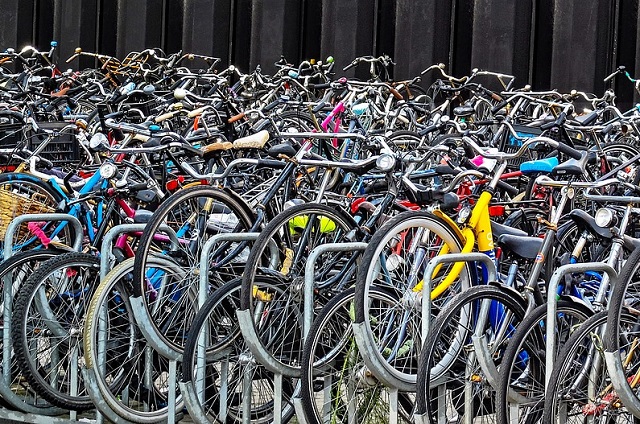 Olanda va utilizarea telefoanelor pe biciclete