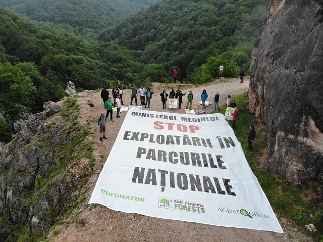 Video – Agent Green: România riscă un nou infringement pe mediu din cauza tăierilor din parcurile naționale