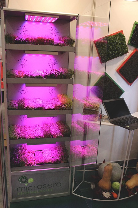 Microsera, grădina automatizată pe care o poți închiria
