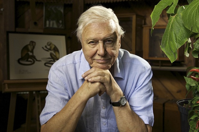 David Attenborough va reprezenta oamenii la Summitul ONU pentru climă