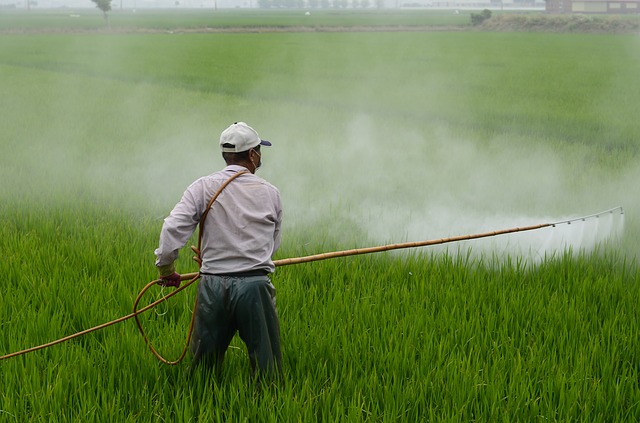 Experții recomandă interzicerea unei întregi clase de pesticide pentru a proteja sănătatea copiilor