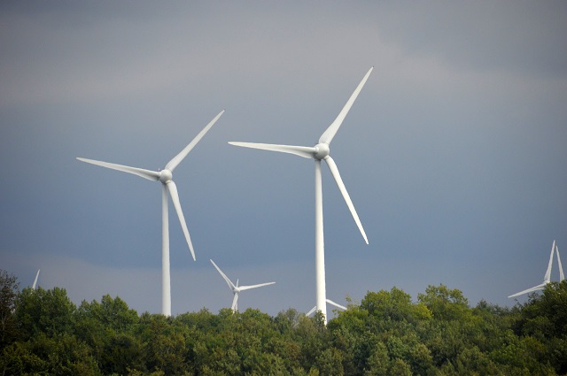 Coface: costurile de producţie a energiei eoliene vor creşte în următorii ani