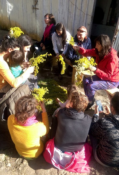 Căsuța Plantelor din Țarina aduce plantele din flora spontană în atenția românilor