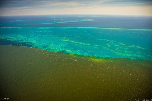 Marea Barieră de Corali

Foto:  Matt Curnock/Tropwater JCU 