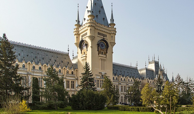 Primăria din Iași a tăiat zece brazi ca să sporească vizibilitatea Palatului Culturii