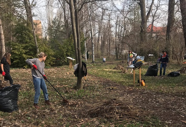 Asociația Team Work caută voluntari pentru Grădina Botanică din București