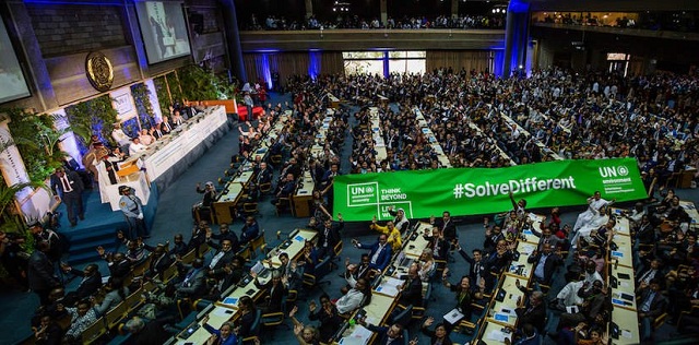 ONU: Statele lumii au dezvoltat un plan de tranziție către un viitor sustenabil