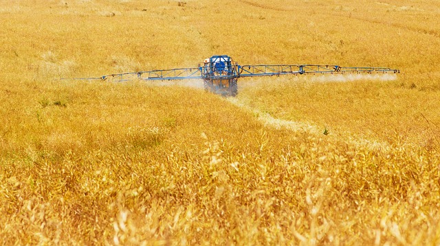 Studiu: expunerea timpurie la pesticide, asociată unui risc crescut de autism