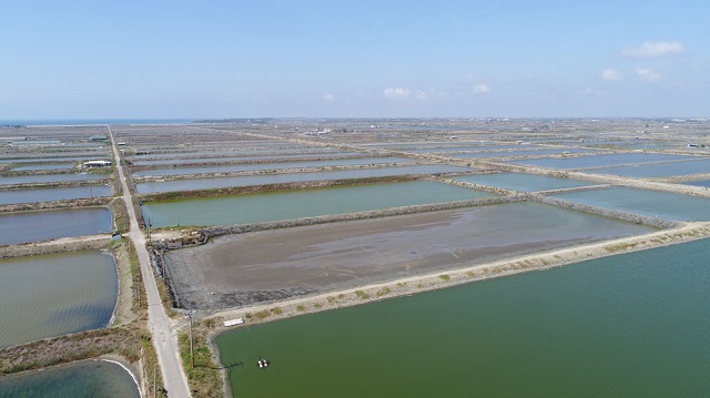 Google construiește un parc solar deasupra bazinelor cu pește din Taiwan